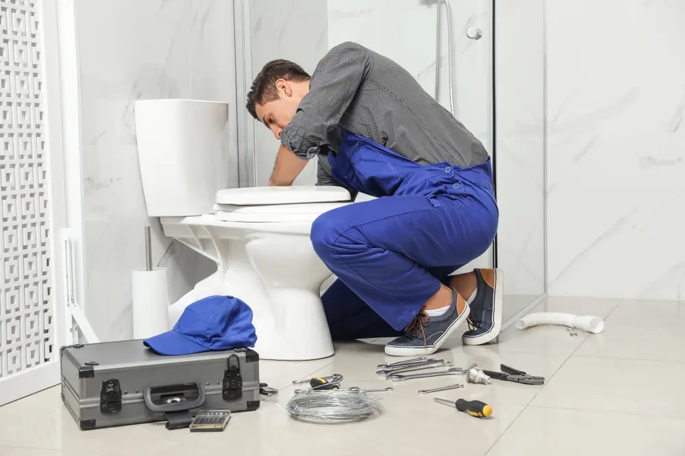 Toilet Installation in Walhalla
